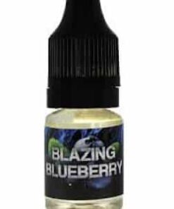 Buy Blazing Blueberry Liquid Incense 5ml