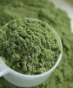 Buy Mescaline Powder