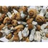 Buy Penis Envy mushrooms 
