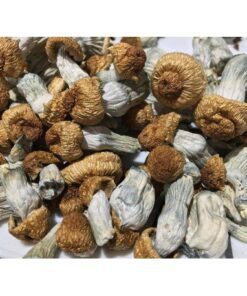 Buy Psychedelics Online In USA