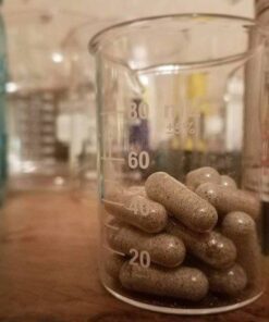 GOLDEN TEACHER MUSHROOM CAPSULES