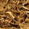 Iboga Root Bark