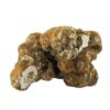 Magic Truffles USA for sale
