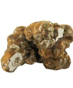 Magic Truffles USA for sale
