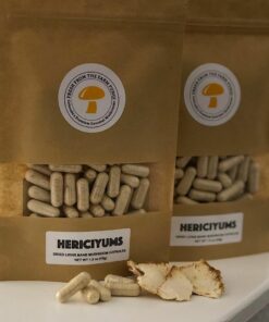 Buy Lion’s Mane Mushroom Capsules
