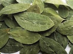 coca leaves 200 grams