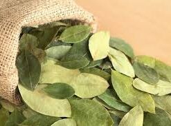 coca leaves 100grams